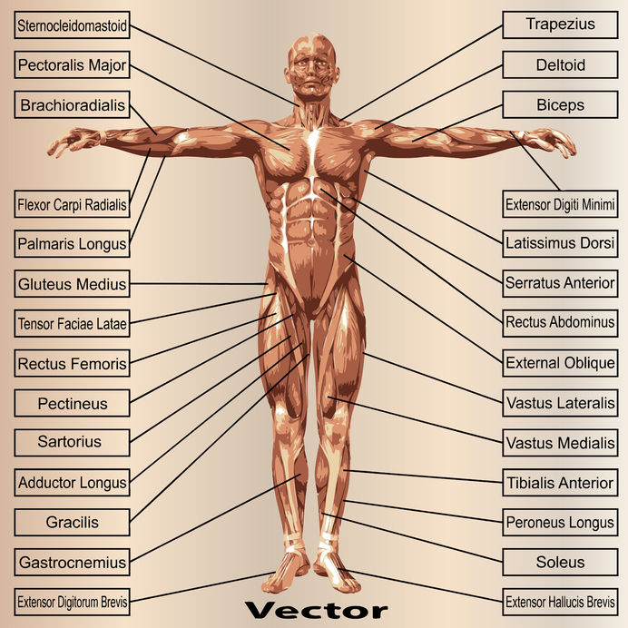 Identifying Injuries