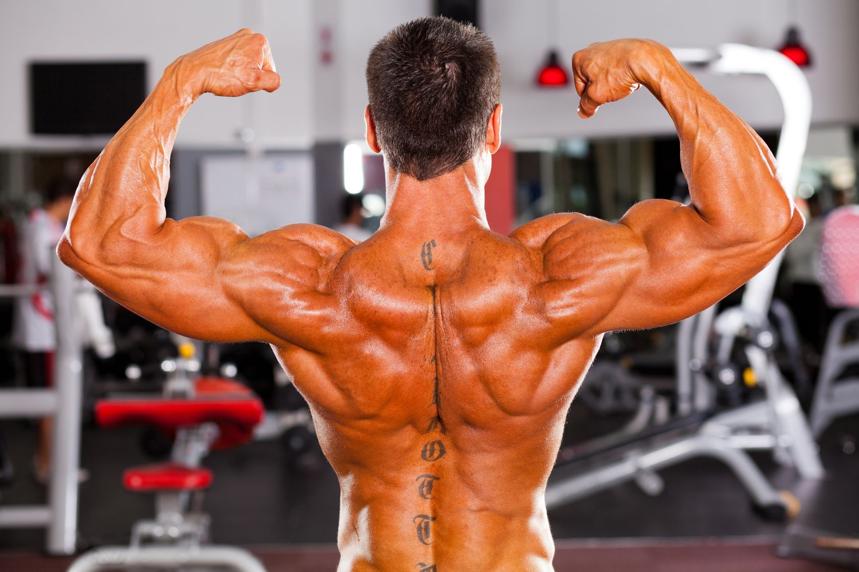 Example Strength Workout: Beginner/Intermediate and Golf Pro