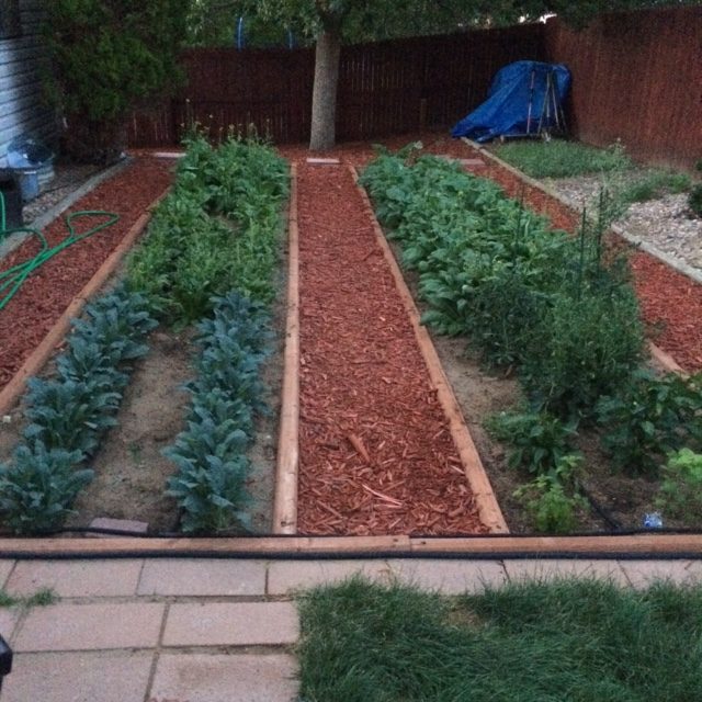 Scaling Your Garden for More Production: Part 2