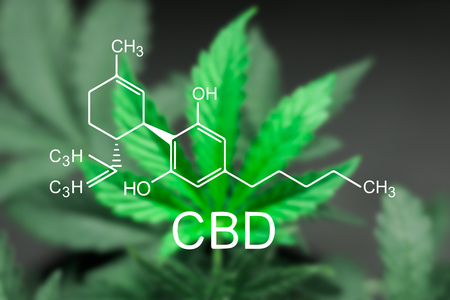 Whole Plant Extracts versus Single Drug Pharmaceuticals